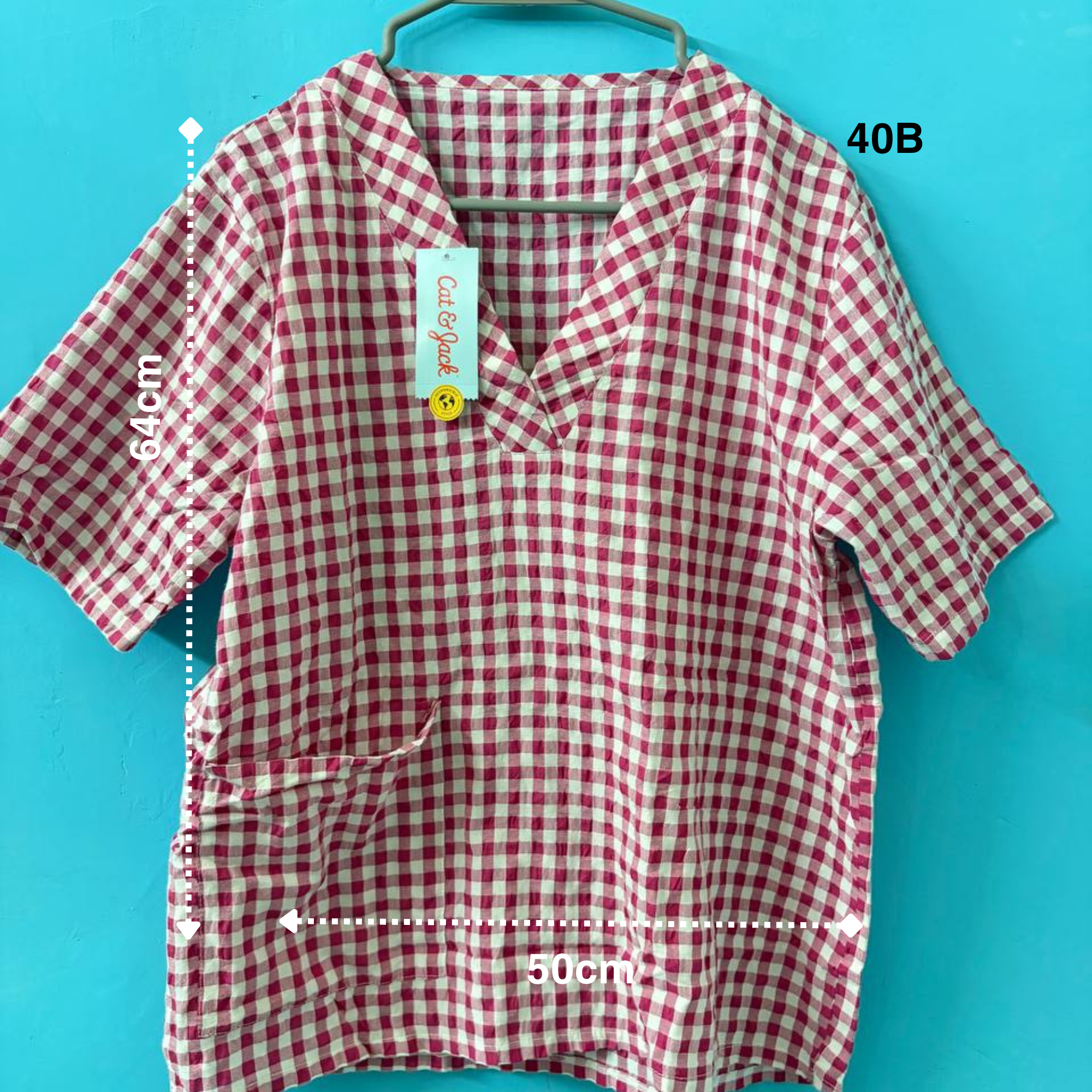 Pink V-Neck Top (L)